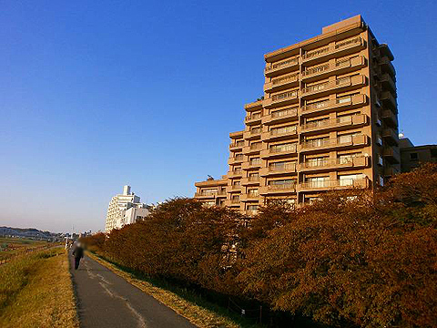 その他共用部　外観3