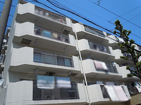 現地外観写真 外観