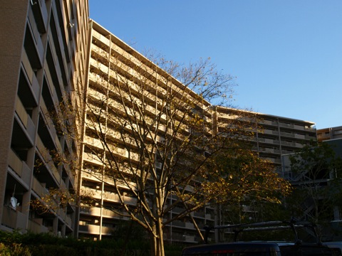 その他共用部　外観3