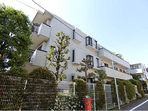 現地外観写真 外観