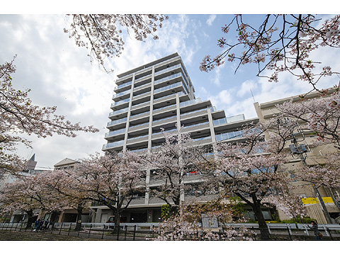 現地外観写真 ライオンズ多摩センターステーションブライト-2