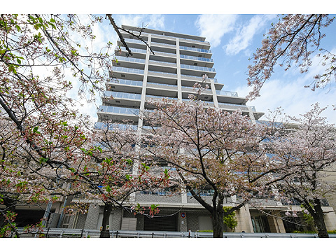 現地外観写真 ライオンズ多摩センターステーションブライト-3