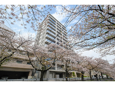 現地外観写真 ライオンズ多摩センターステーションブライト-4