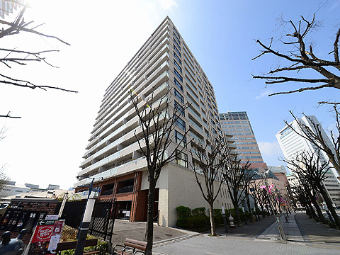 現地外観写真 外観