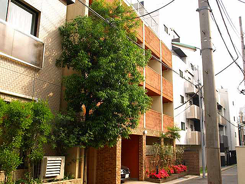 その他共用部 外観3