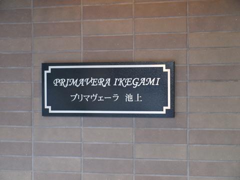 その他共用部　写真1