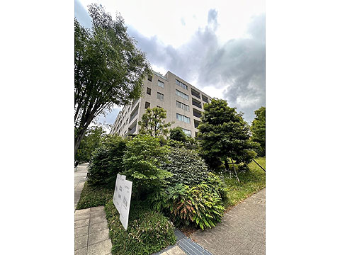 現地外観写真 外観