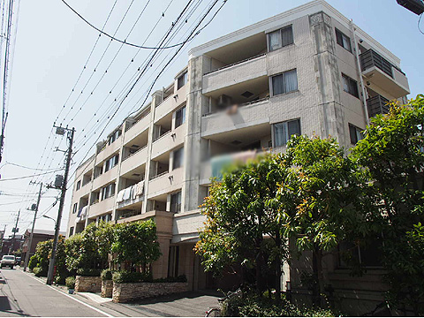 現地外観写真 マンション外観