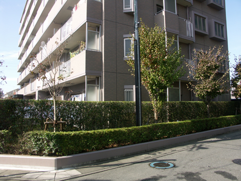 その他共用部 写真2