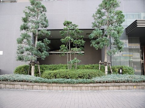 その他共用部　写真2