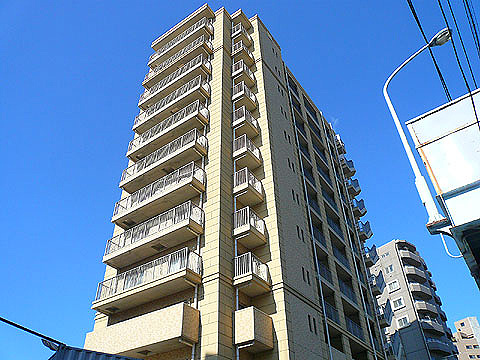 現地外観写真 外観南東側