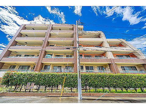 現地外観写真　現地外観