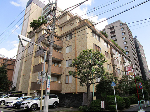 現地外観写真 外観