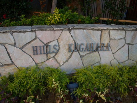 その他共用部　写真1