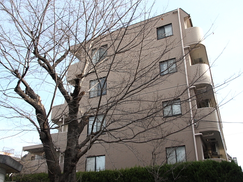 その他共用部　外観５