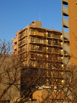 その他共用部　外観4