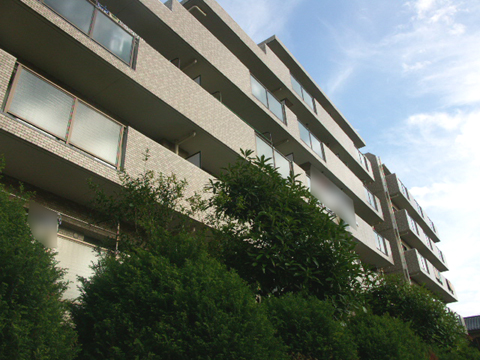 その他共用部 外観6