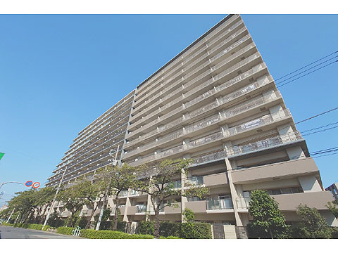 現地外観写真 外観