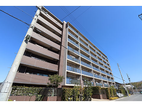 現地外観写真　現地外観