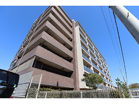 現地外観写真　現地外観