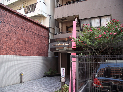 その他共用部　エントランス2