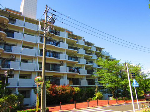 現地外観写真 建物外観(南西側)