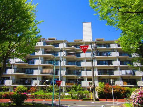 現地外観写真 建物外観(南側)