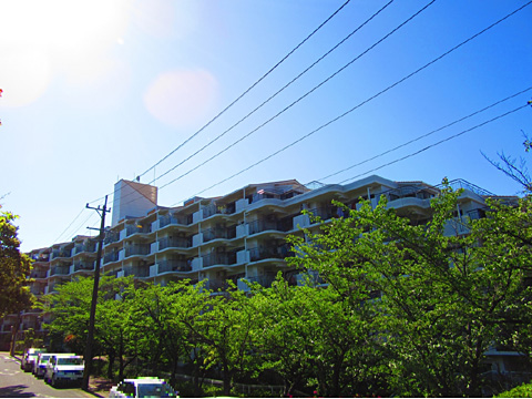 現地外観写真 建物外観(南東側)