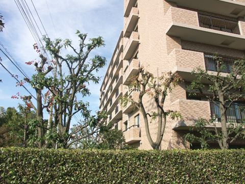 その他共用部 写真2