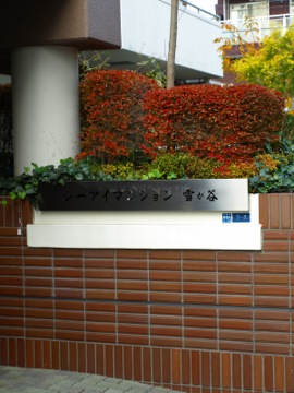 その他共用部 写真1