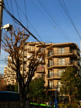 その他共用部　外観2