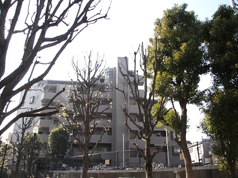 その他共用部　外観3