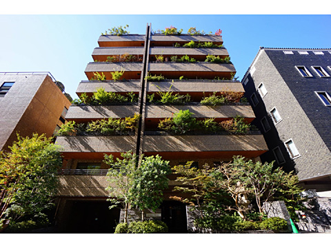 現地外観写真 現地外観写真