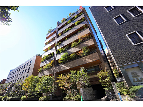 現地外観写真 現地外観写真