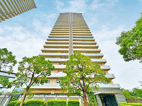 駐車場　現地外観２