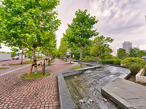 その他共用部　敷地内にはたくさんの植栽あり