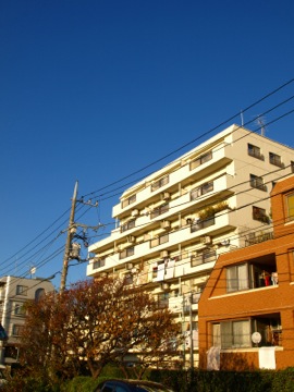 その他共用部 外観5