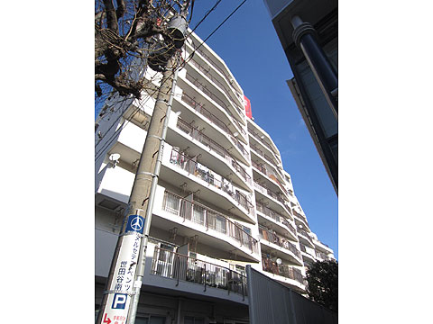 現地外観写真　南側から撮影