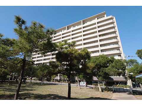 現地外観写真　建物外観（南西側） (3)