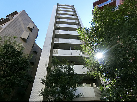 現地外観写真　CIMG1249