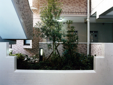 その他共用部 中庭