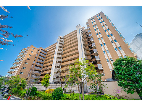 現地外観写真 外観