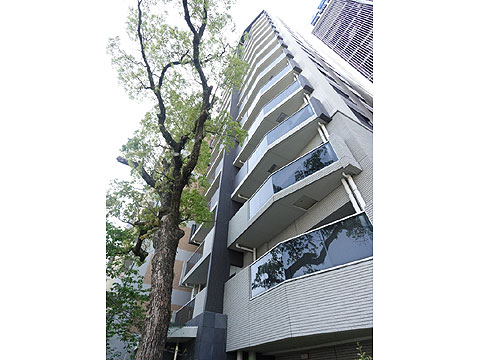 現地外観写真 東側外観