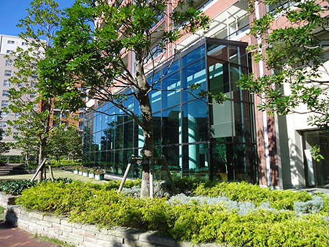 その他共用部 グランドテラス