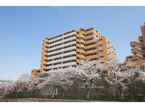 現地外観写真 ライオンズヒルズ多摩永山壱番館-6