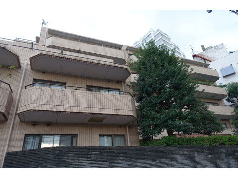 現地外観写真 外観2