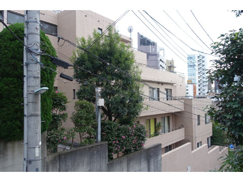 現地外観写真 外観7