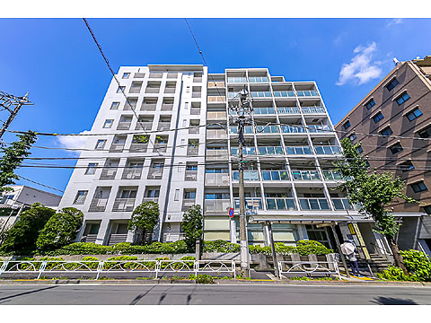 現地外観写真 外観