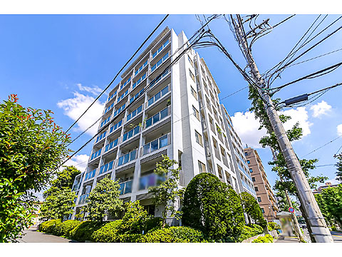 現地外観写真 外観