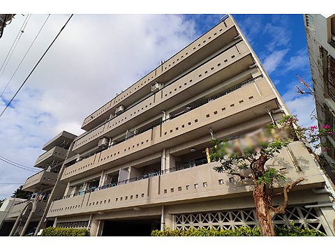 現地外観写真　現地外観（東側より）